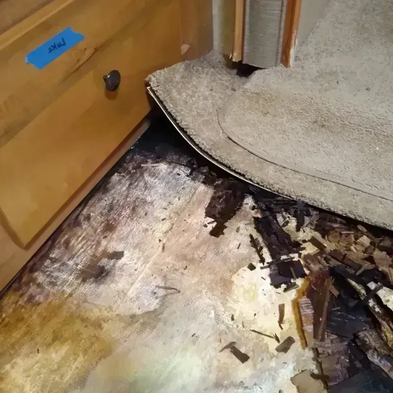 Wood Floor Water Damage in North Sarasota, FL